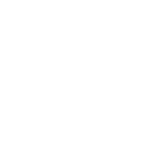 Selo Ivanir dos Santos